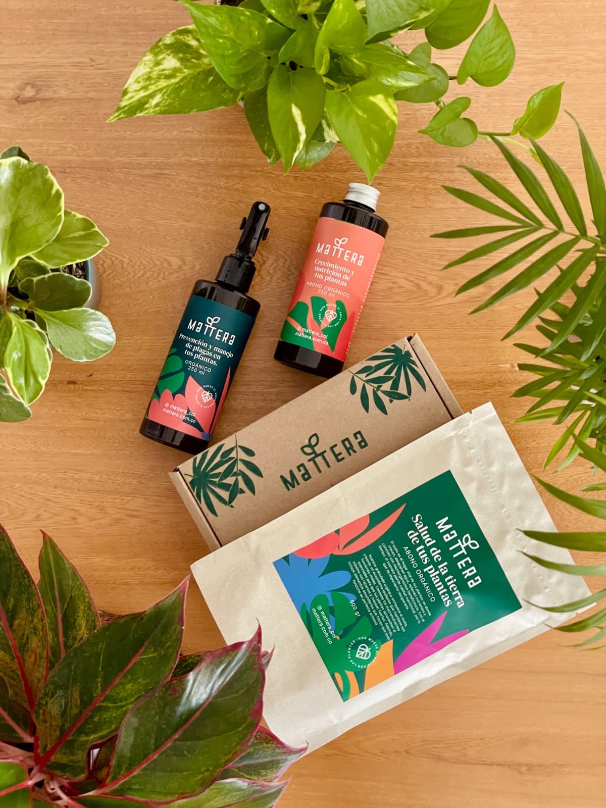 Kit jardinero esencial.
