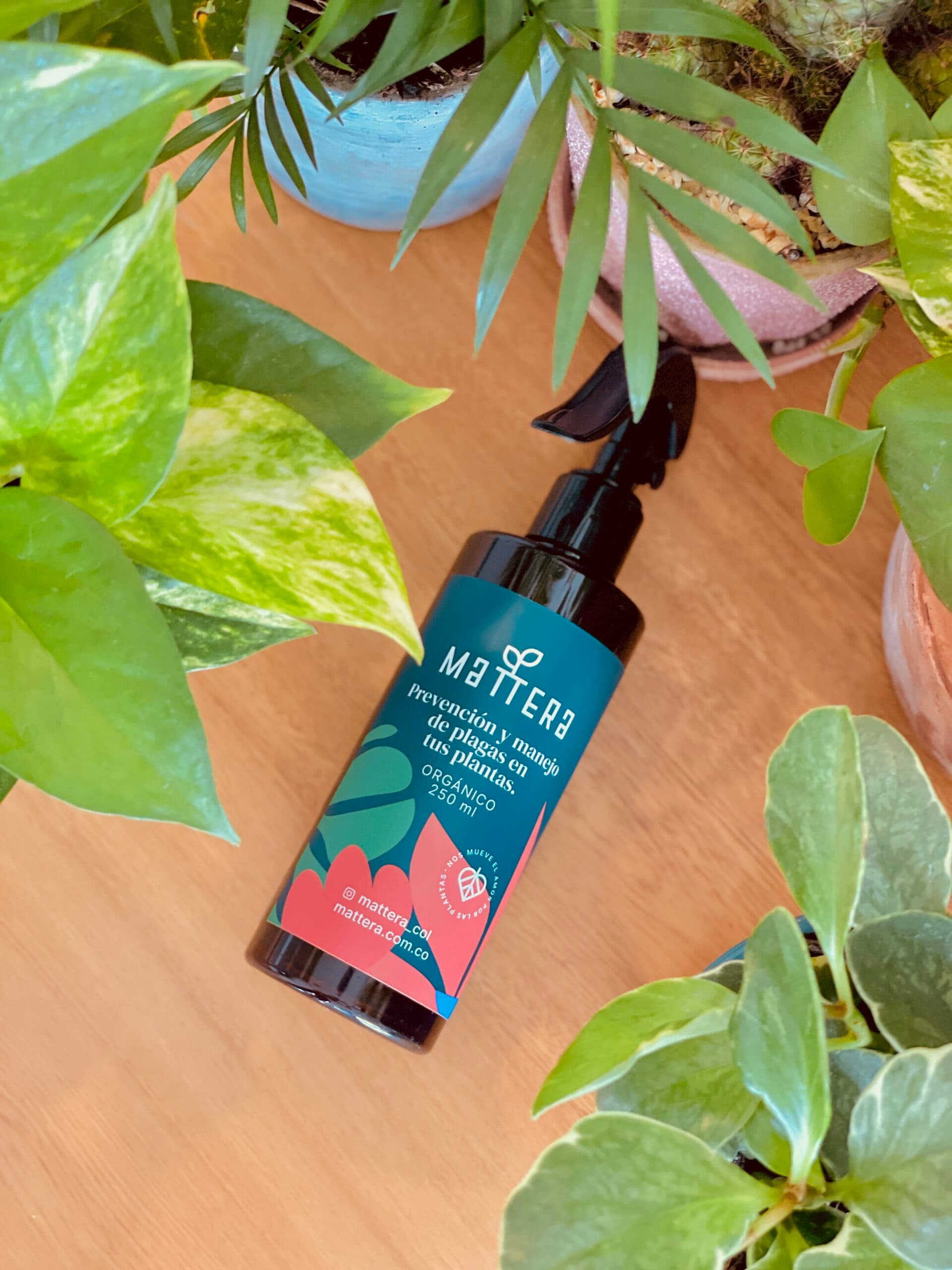 BIOINSECTICIDA: Prevención y manejo de plagas en tus plantas - AURATECH | Mattera