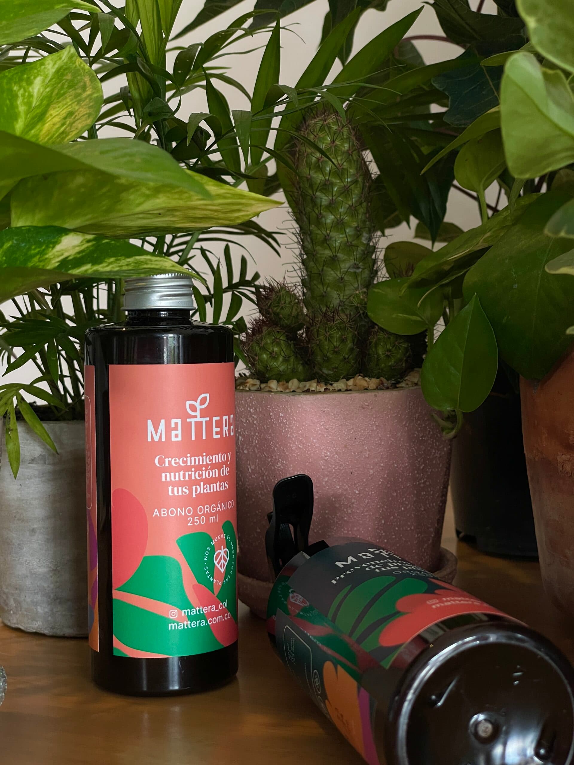 Dúo fitosanidad (insecticida orgánico + fungicida orgánico para tus plantas)
